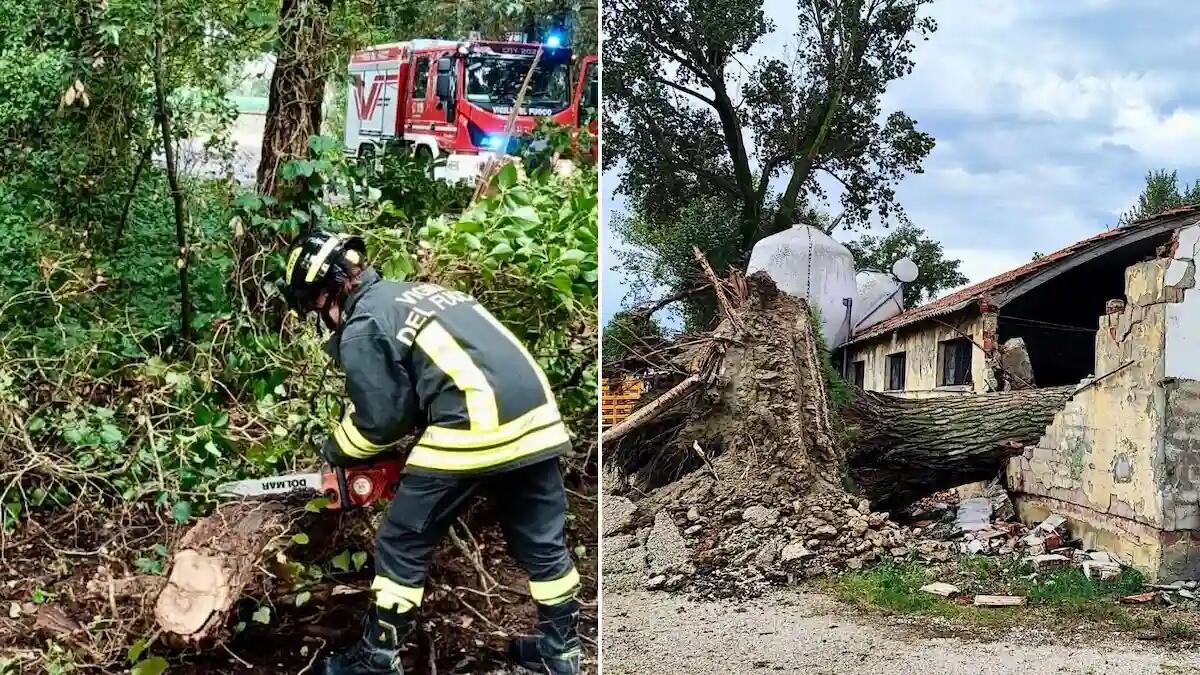 Maltempo in Veneto: oltre 100 interventi dei vigili del fuoco dalla sera di ieri. La situazione - 