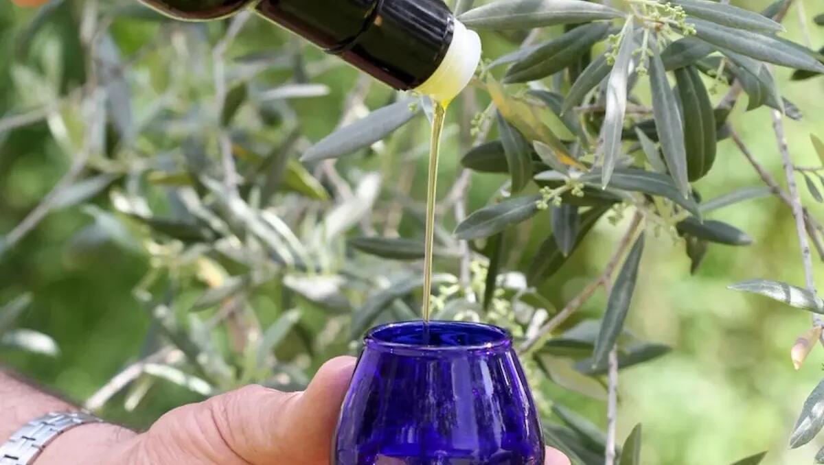 Friuli Doc: le aziende di Confagricoltura Fvg ai Giardini del Torso - 