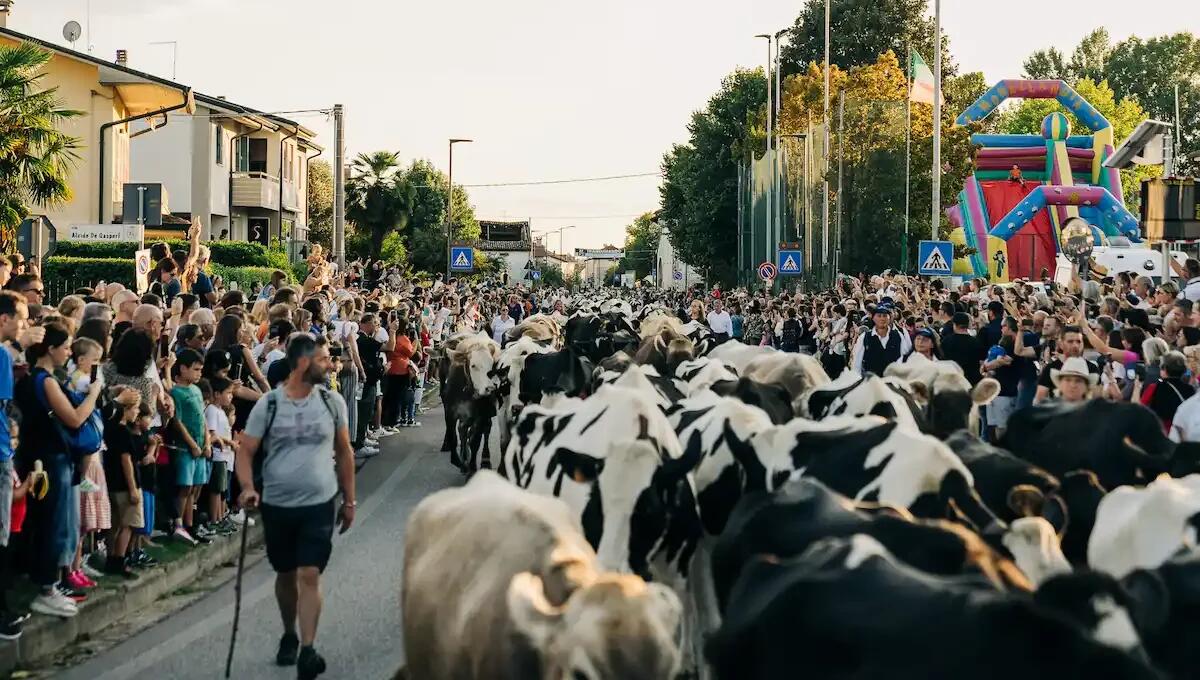 Torna a Bressanvido "Transumando", la festa che celebra la tradizione e il gusto -