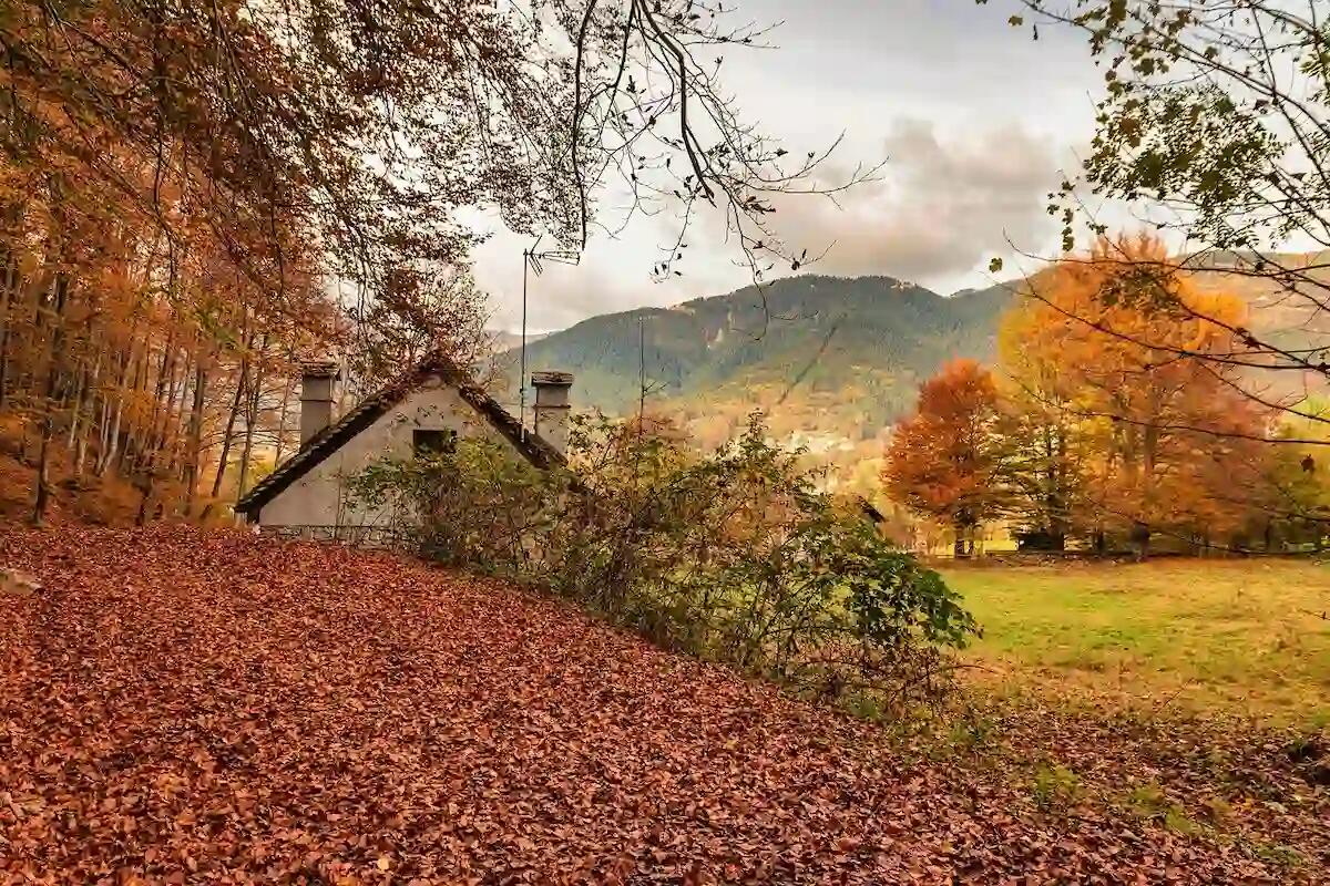 Foliage in Friuli Venezia Giulia e Veneto 2024: dove e quando ammirarlo -