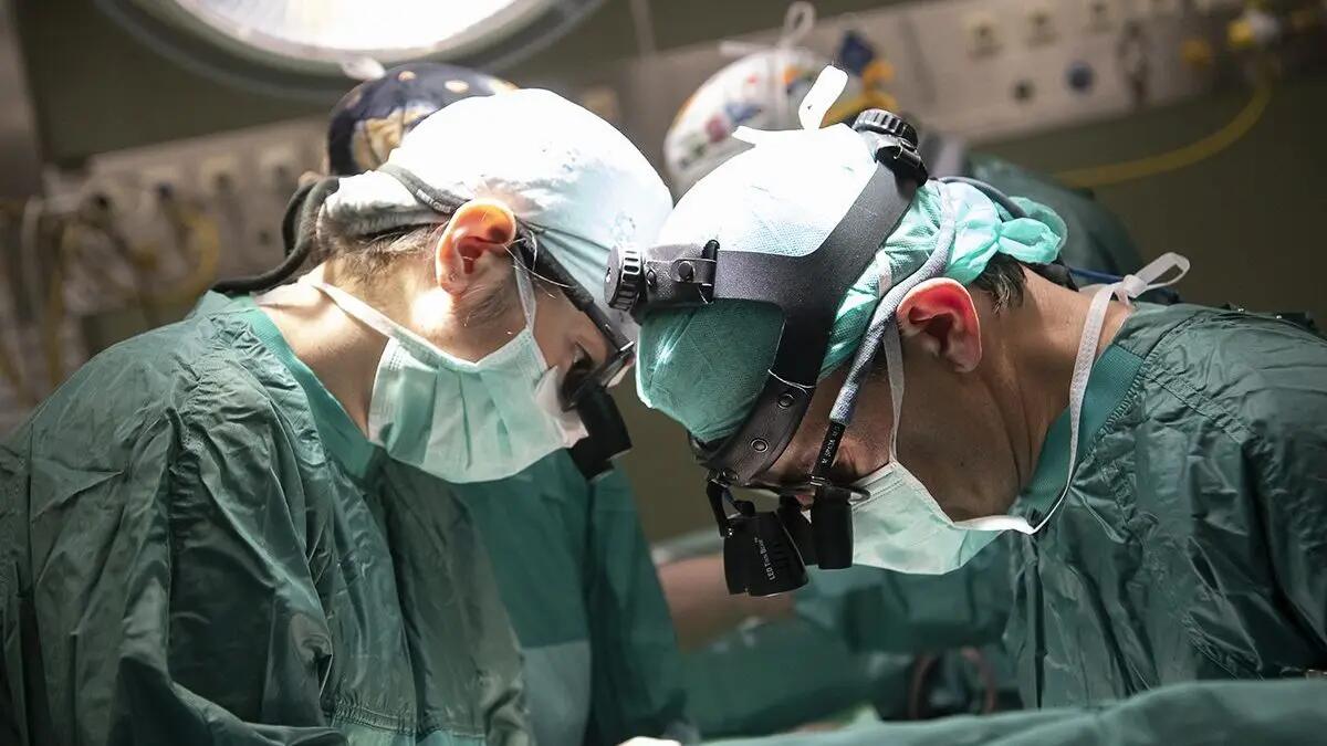 Friuli Venezia Giulia prima in Italia per numero di donazioni e trapianti - 