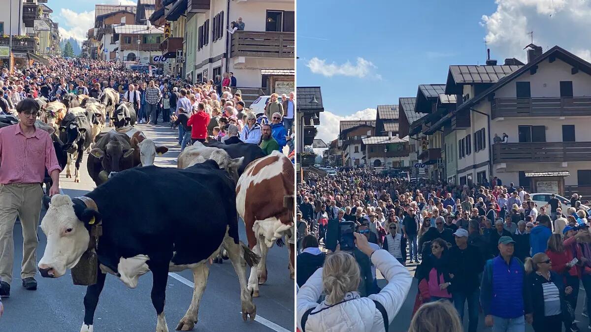 Sappada piace sempre di più, "Sappamukki" riempie il paese: «più turisti che a Ferragosto» - 