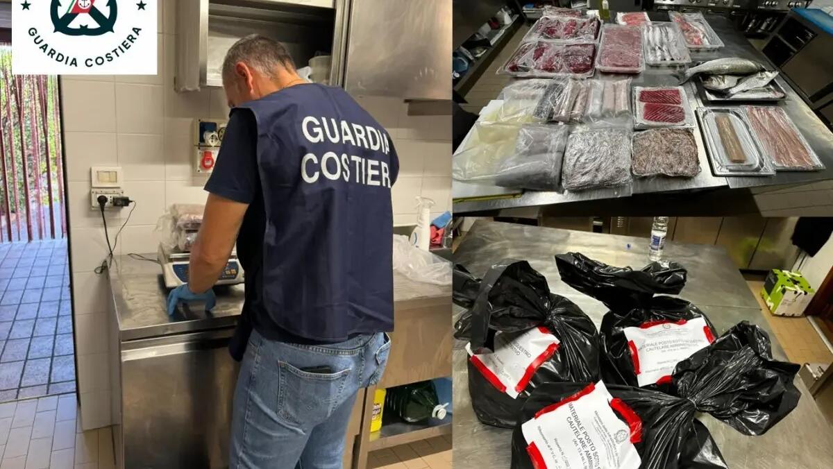 Pesce di origine sconosciuta: sequestrati in un ristorante 40 kg di pescato e multa da 1500 euro - 
