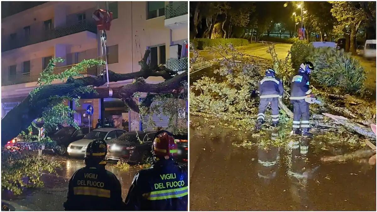 Maltempo Trieste, raffiche di Bora oltre i 120km/h: superlavoro per i pompieri - 