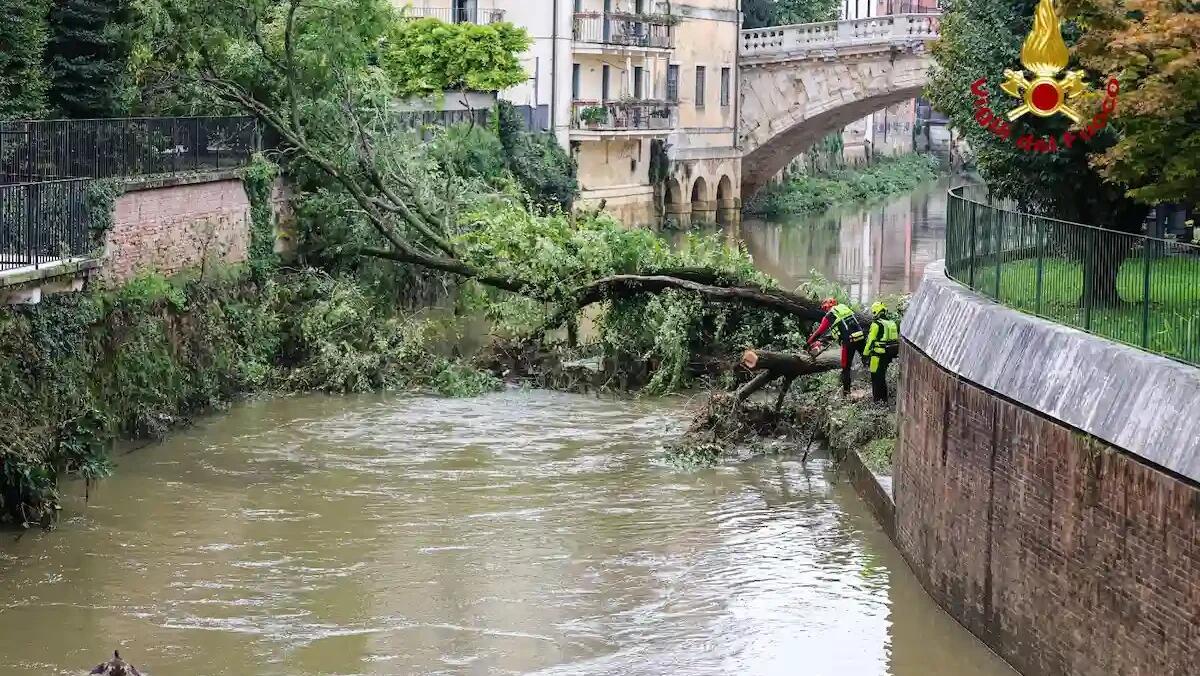 Maltempo a Vicenza: 3 alberi di traverso lungo il Retrone, vigili del fuoco al lavoro | VIDEO - FOTO - 
