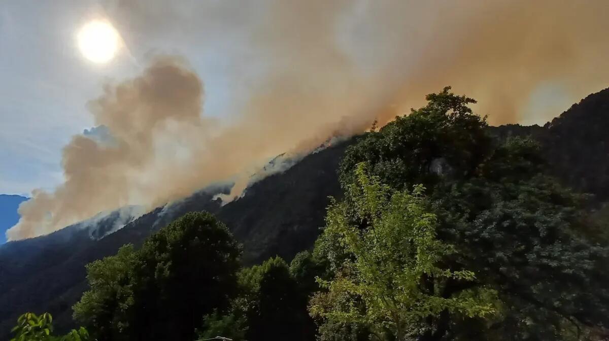 Analisi dell'incendio di Moggio Udinese: impatto e dati dell'intervento - 