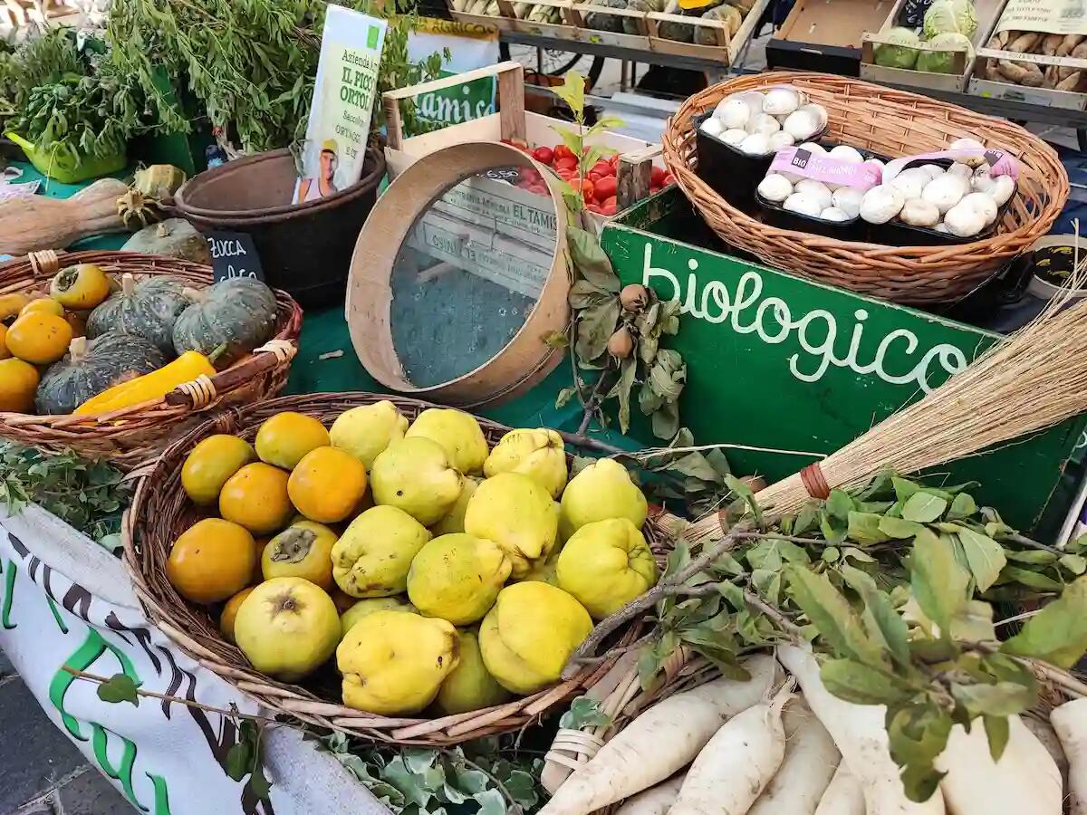 El Biologico in Piassa: Padova celebra l'agricoltura sostenibile. Programma -