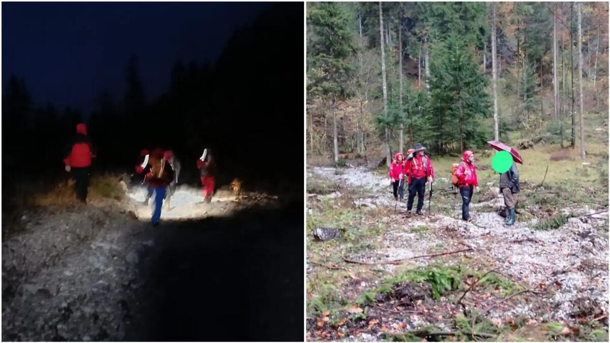 Disperso a Claut, cercatore di funghi ritrovato sano e salvo. Cosa è successo - 