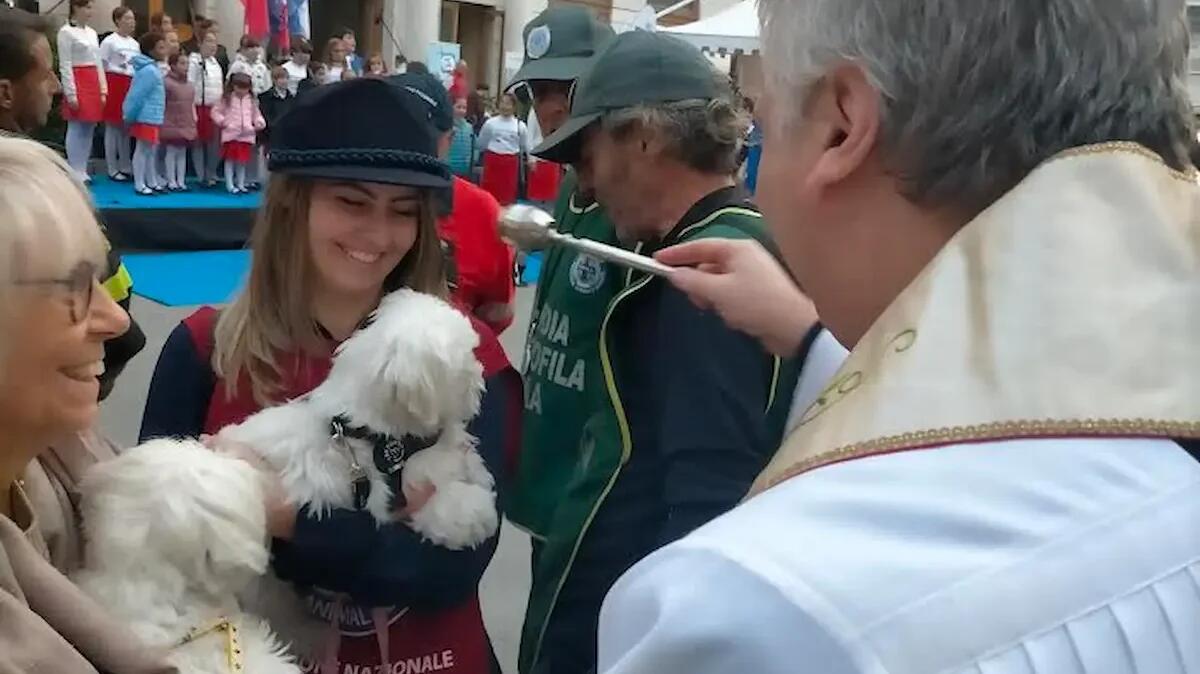 Grande affluenza all’Animal Festival di Trieste: un evento per la protezione degli animali - 