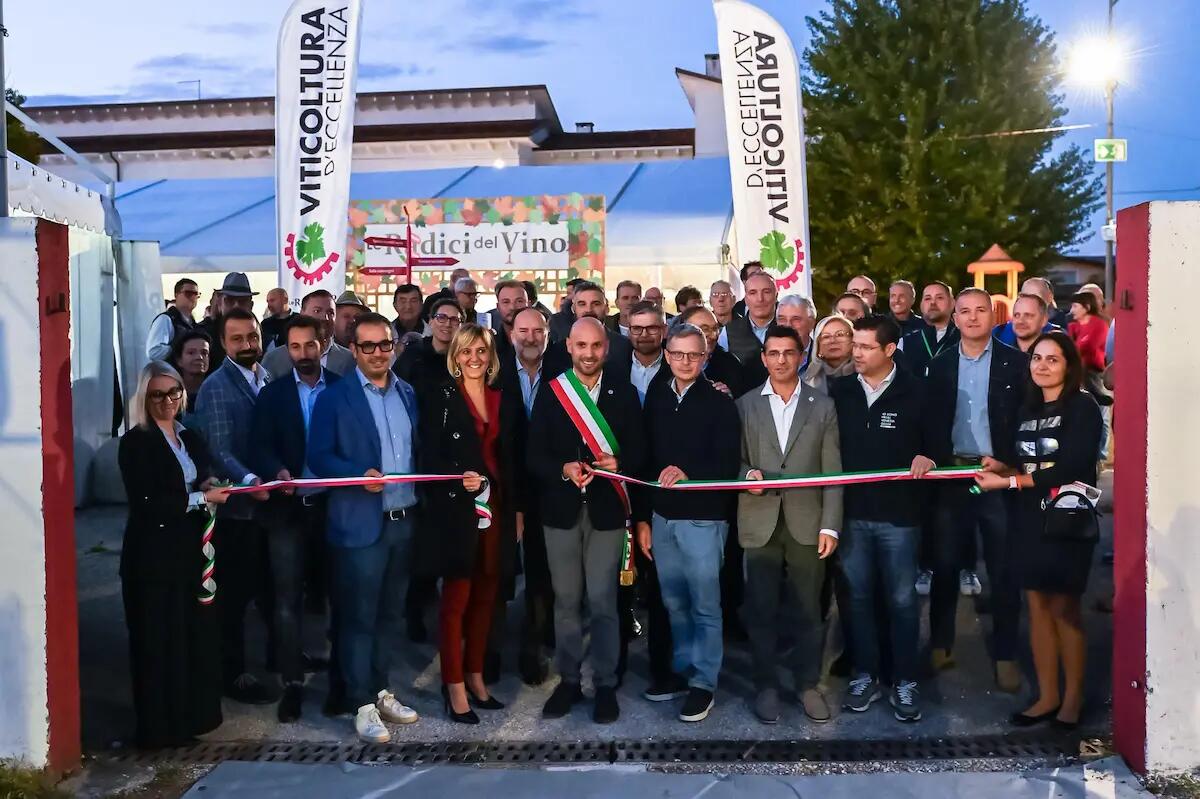 Rauscedo, le migliori ribolle gialle da non perdere. Il programma del 13 ottobre - 