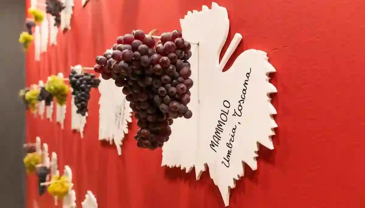 "Le Radici del Vino": al via l'XVIII Fiera della Viticoltura d'Eccellenza - 