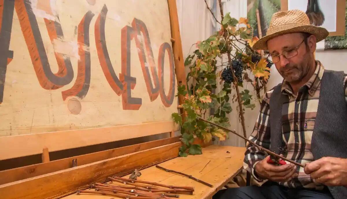 Rauscedo: il Trenino alla scoperta della Barbatella - 