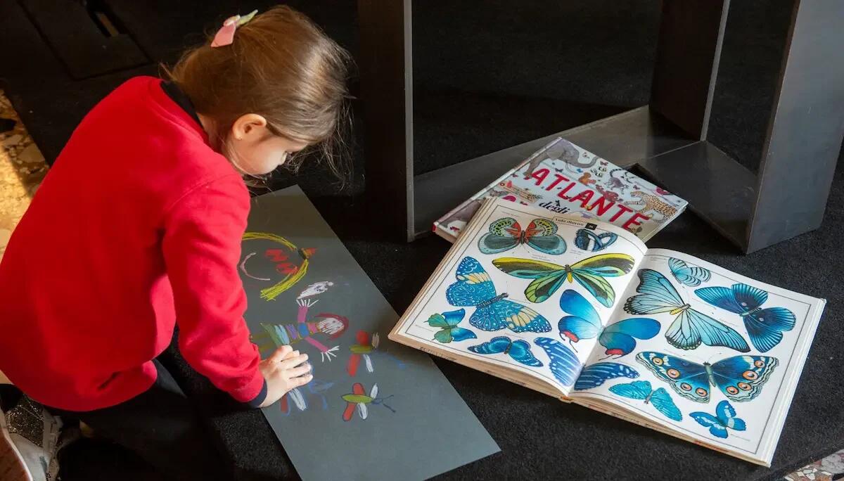 "Bestiario immaginato": un viaggio tra arte e comunità a Udine - 