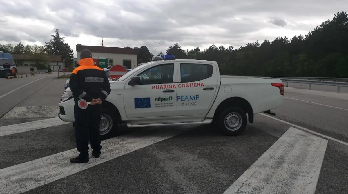 Trasportava 286 kg di ricci di mare senza tracciabilità: sequestro e multa - 