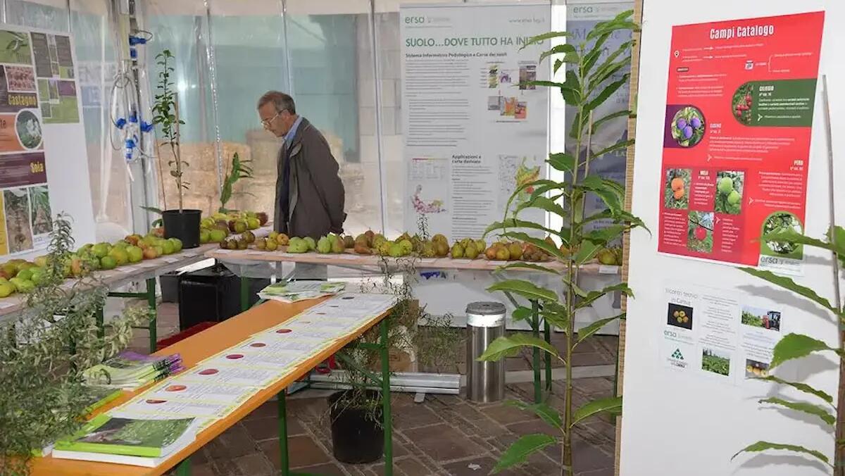 "Via della Biodiversità": un evento a Tolmezzo per scoprire il legame tra agricoltura e natura - 
