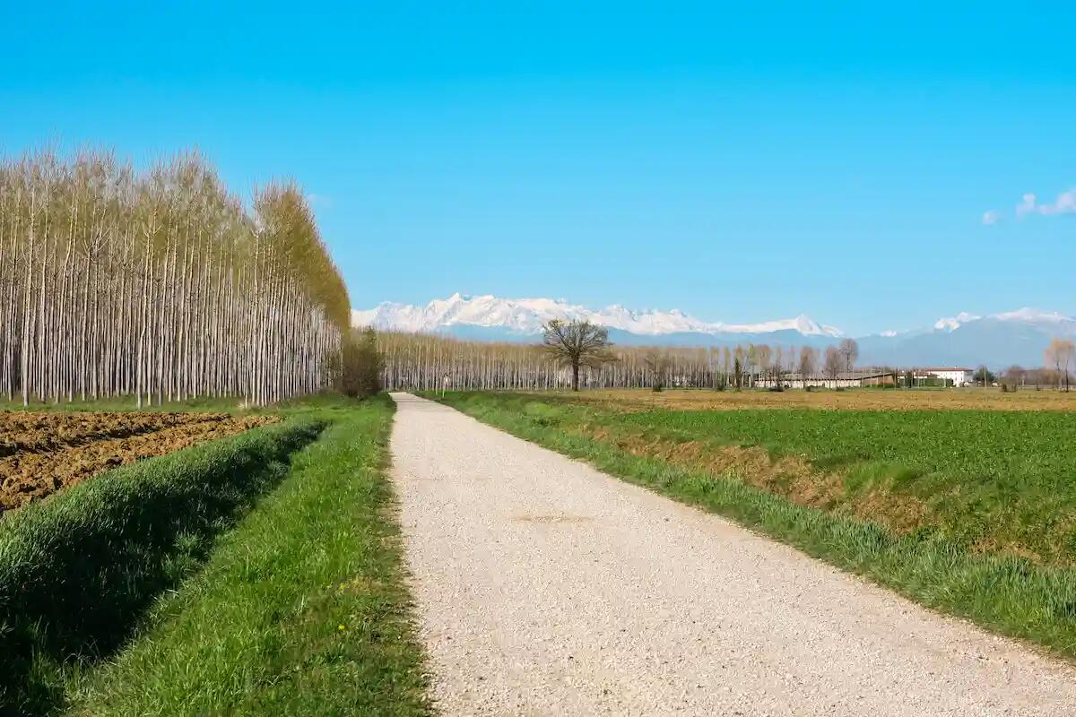Torna "10mila passi di salute" a Bagnaria Arsa, ecco la prossima passeggiata - 