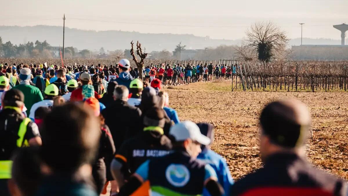 Conegliano Valdobbiadene Prosecco Running Festival: sport e tradizione in un unico evento - 