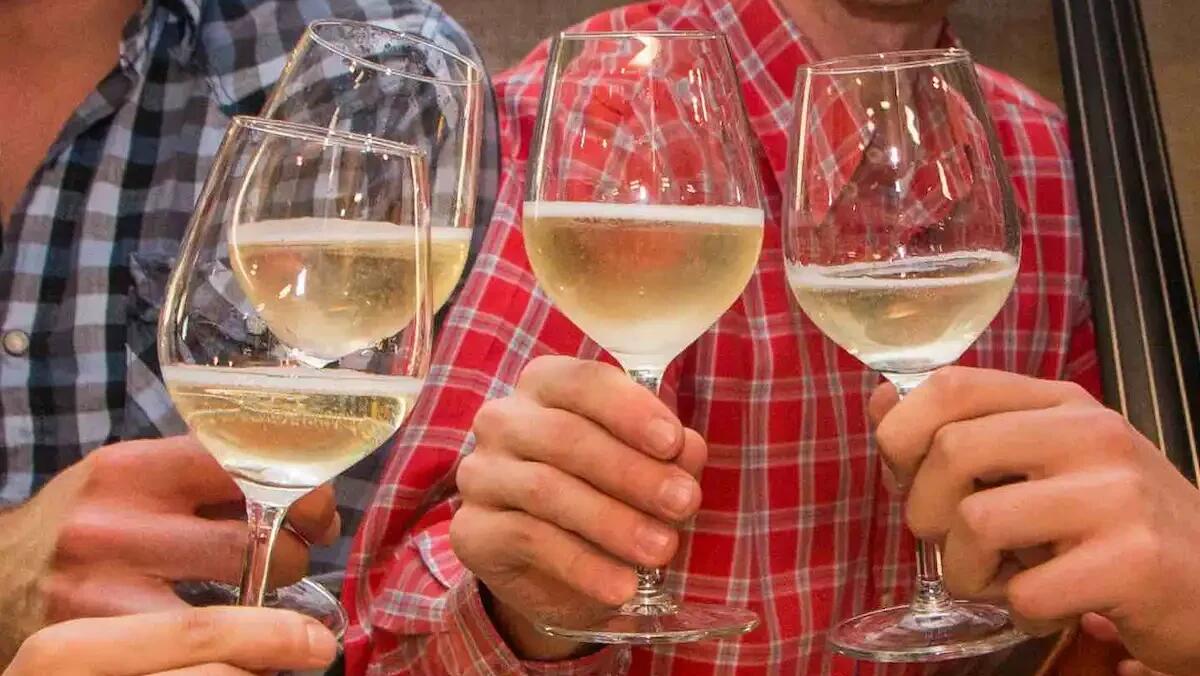 Torna a Rauscedo l'evento "Le Radici del Vino" con focus su vini sostenibili - 