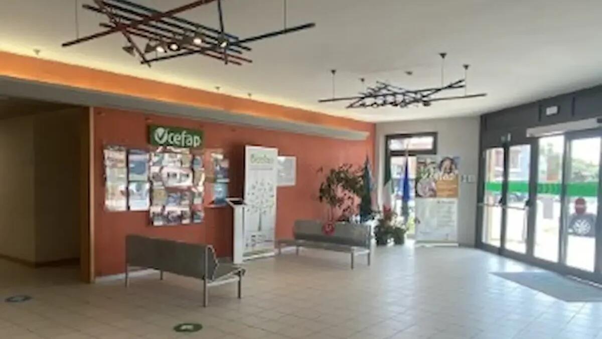 Catalogo Verde CEFaP: corsi di formazione sulla manutenzione del verde a Codroipo - 