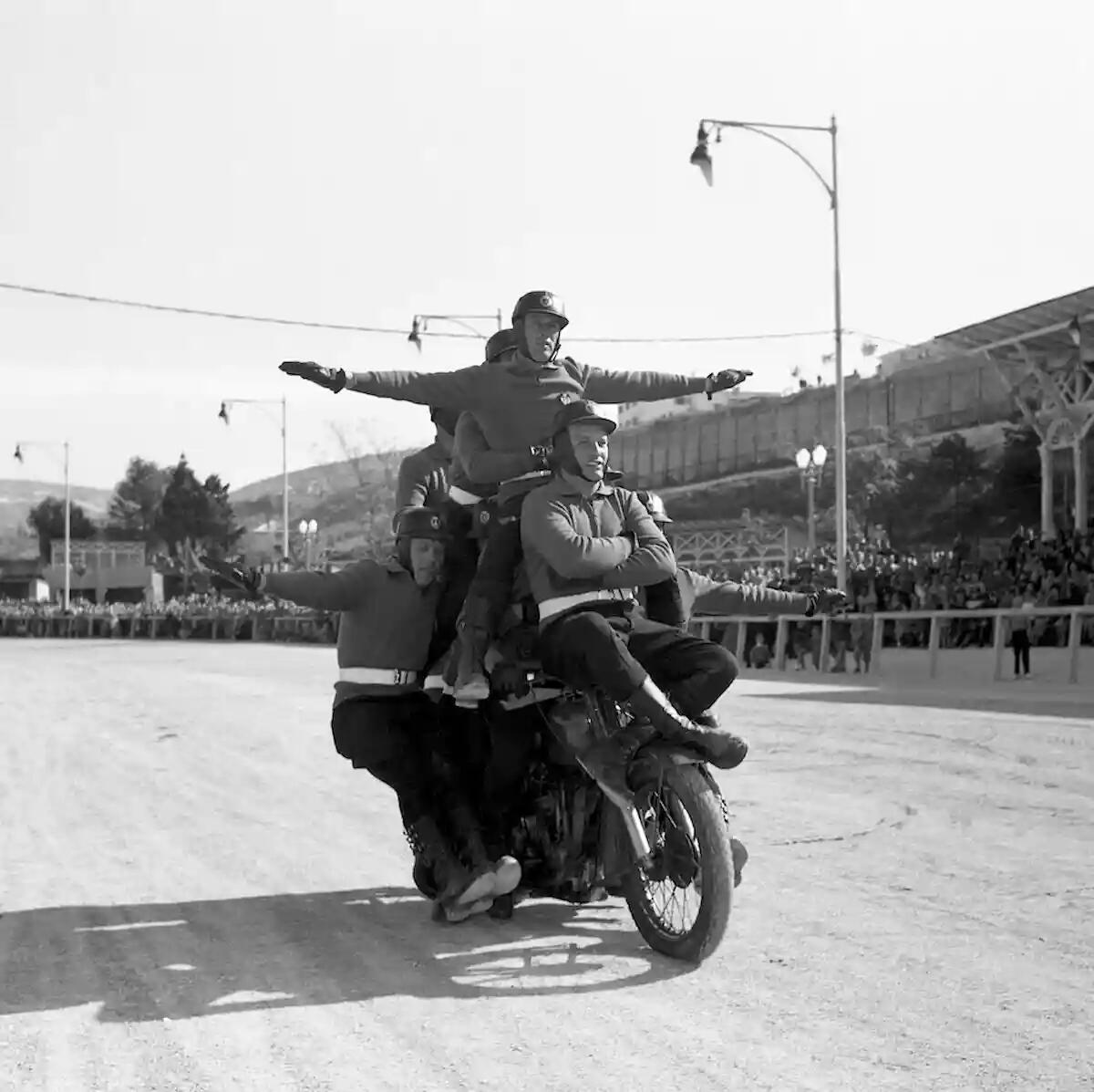 Vola Colomba: esplora la mostra che racconta Trieste - 