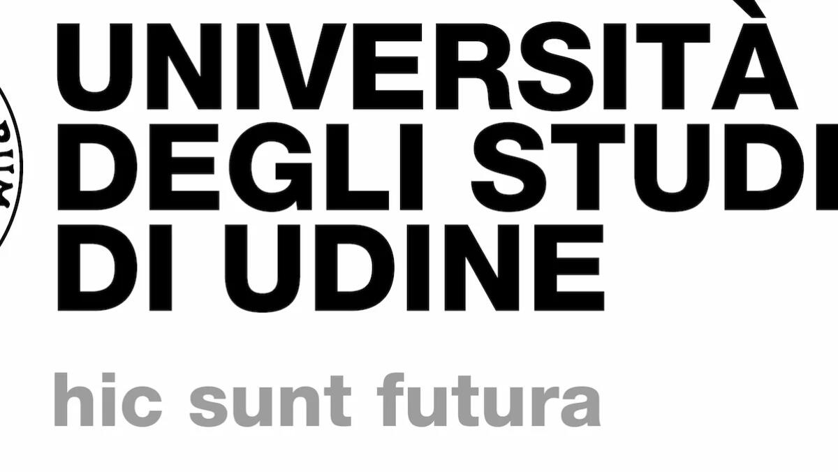 Placement day all'Università di Udine: opportunità di lavoro per laureati in Scienze economiche - 