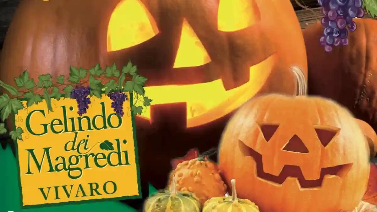 Ponte di Ognissanti: weekend di magia e tradizioni alla fattoria Gelindo dei Magredi - 