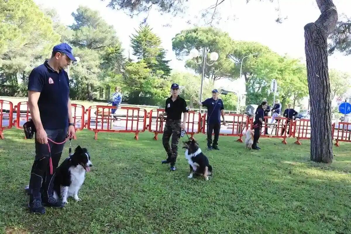 Jesolo in festa per gli amici a quattro zampe: successi del Comitato dei 1000 Eventi -