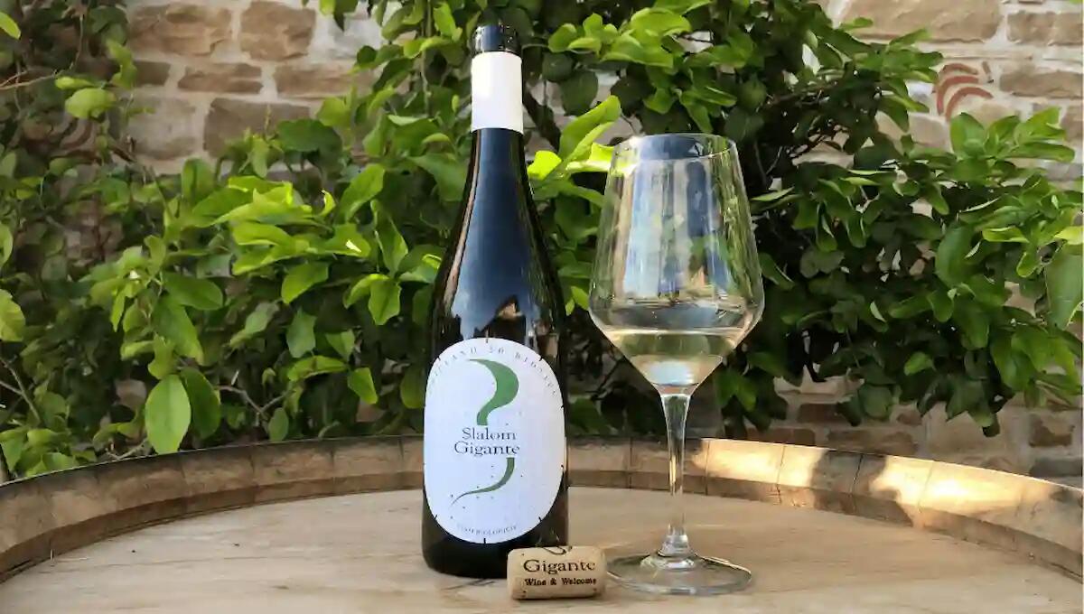 Nasce Slalom Gigante, il nuovo vino Friulano DOC Friuli 2023 biologico - 