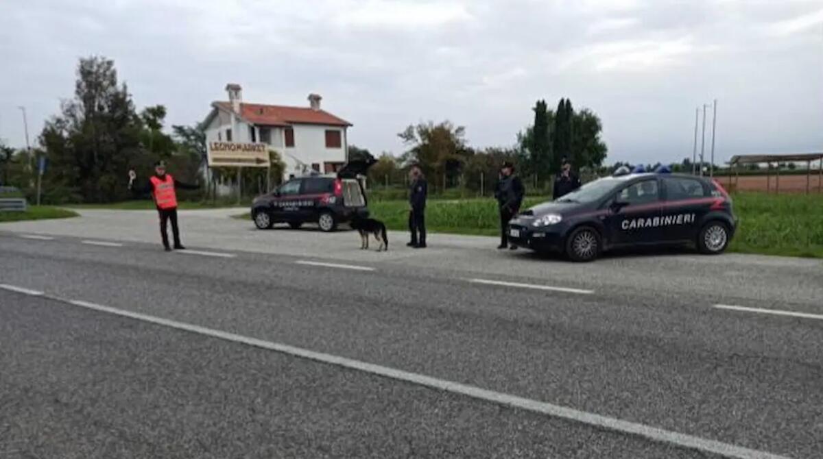 17enne beccato con la droga prima di entrare a scuola grazie al fiuto del cane poliziotto - 