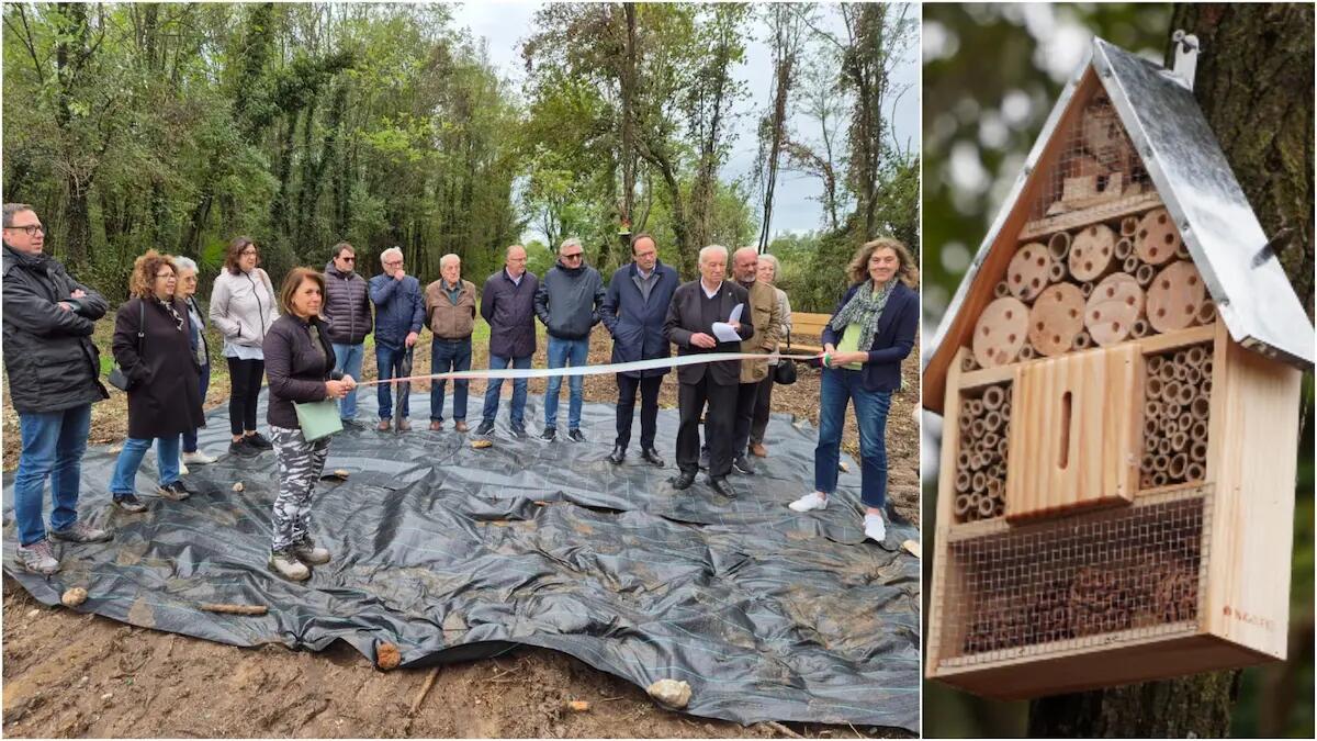 Bressa inaugura il "Giardino delle api": «nasce uno spazio per proteggerle» | FOTO - VIDEO - 