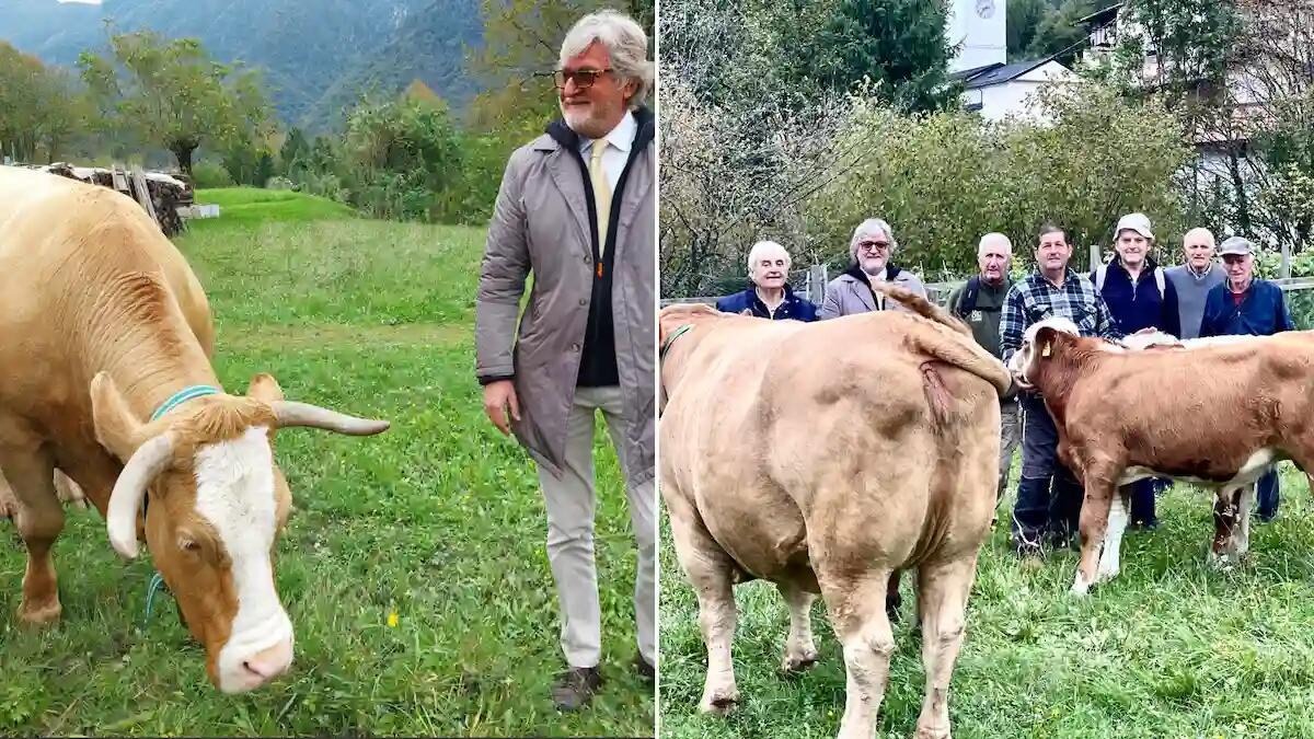 La transumanza di Resia: un viaggio tra tradizioni e modernità - 