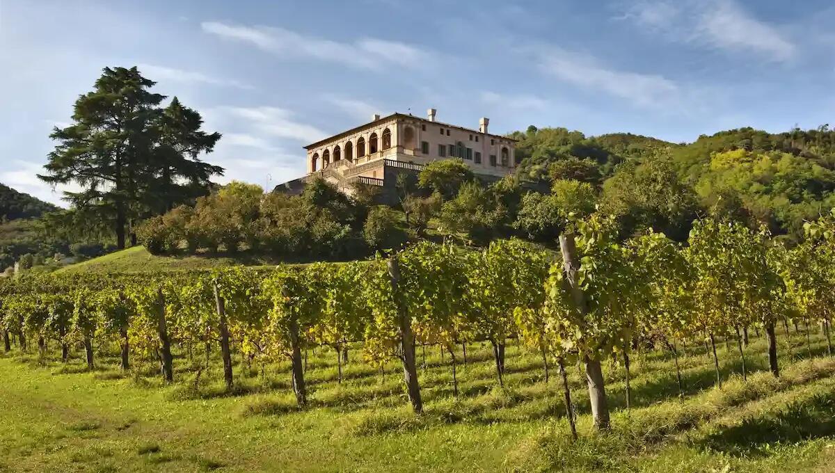 #FAIperilclima: eventi in tutto il Veneto per sensibilizzare sul cambiamento climatico -