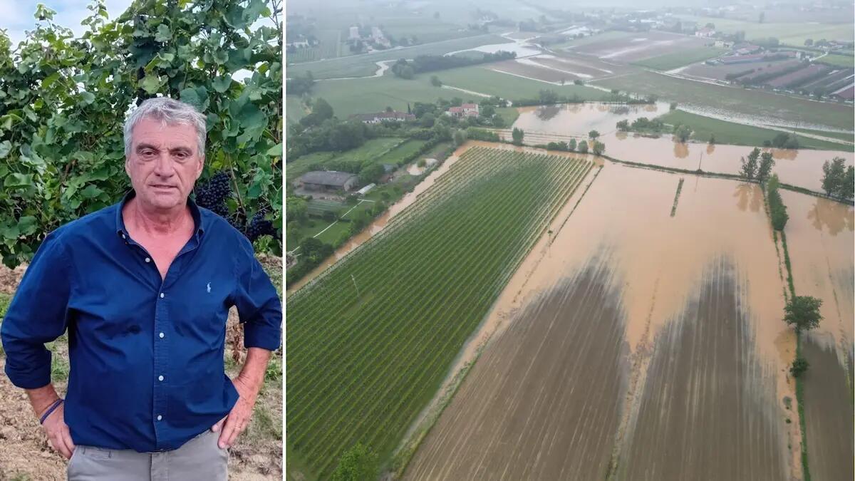 L’agricoltura trevigiana riceve un sostegno di 5 milioni grazie ai contributi assicurativi -