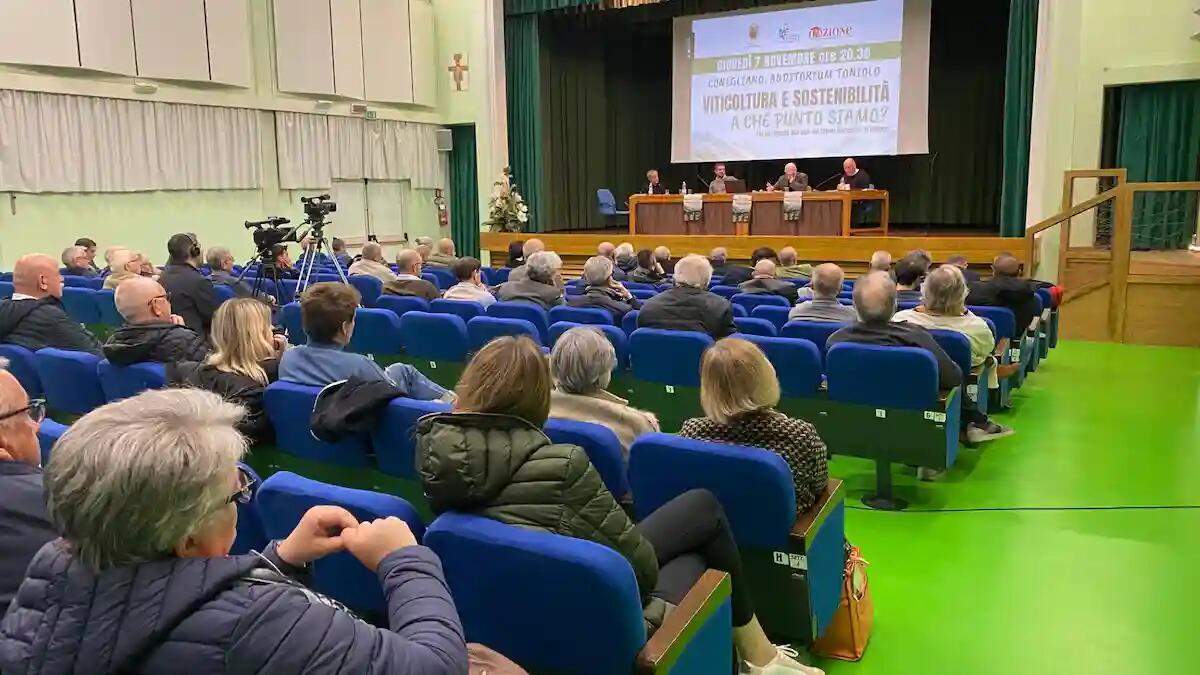 Conegliano: convegno su viticoltura e sostenibilità -