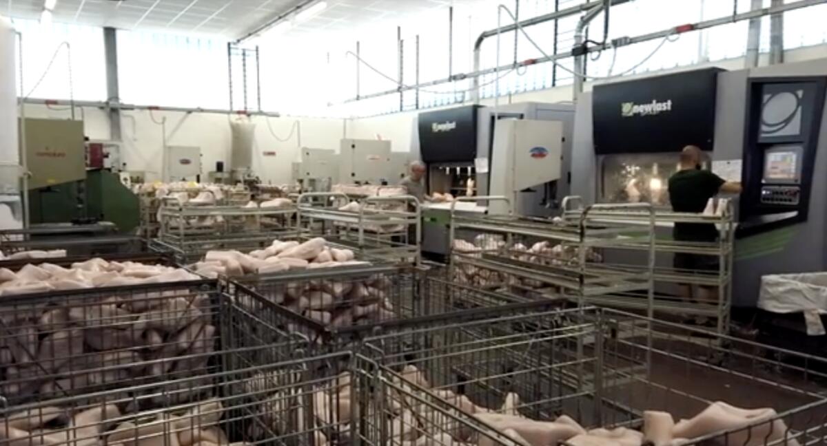 Rifiuti: Ifaba e Omnisyst trasformano gli scarti in risorse preziose - 