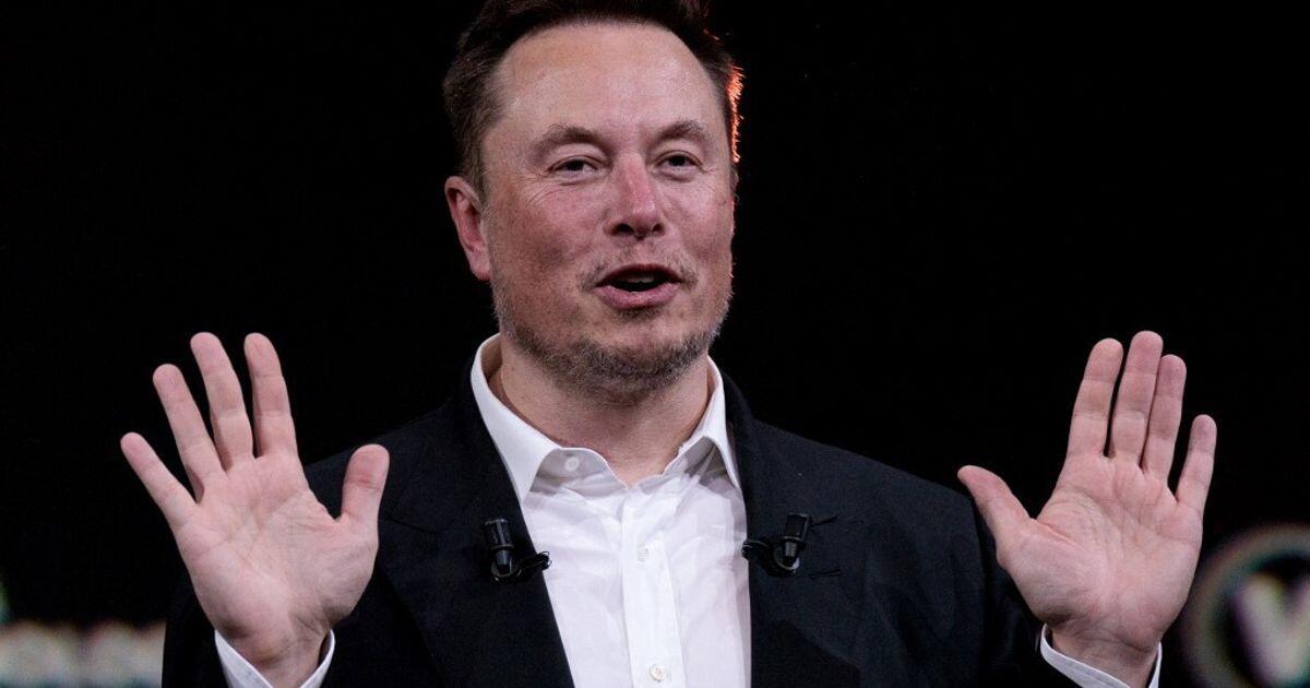 Elon Musk critica i giudici in Albania: "Dovrebbero essere rimossi" - 