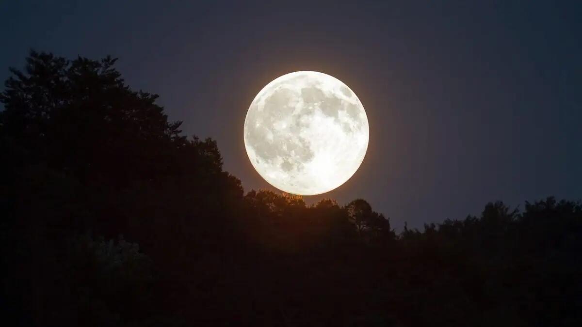 La Superluna del Castoro oggi 15 novembre: quando vederla e perché è così speciale - 