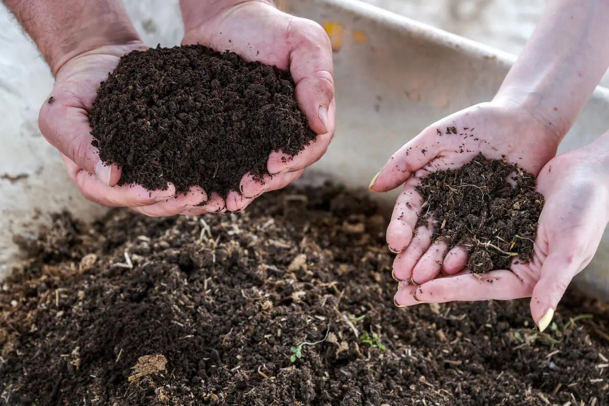 Agricoltura sostenibile: fertilizzanti naturali per un futuro in equilibrio con l’ambiente - 