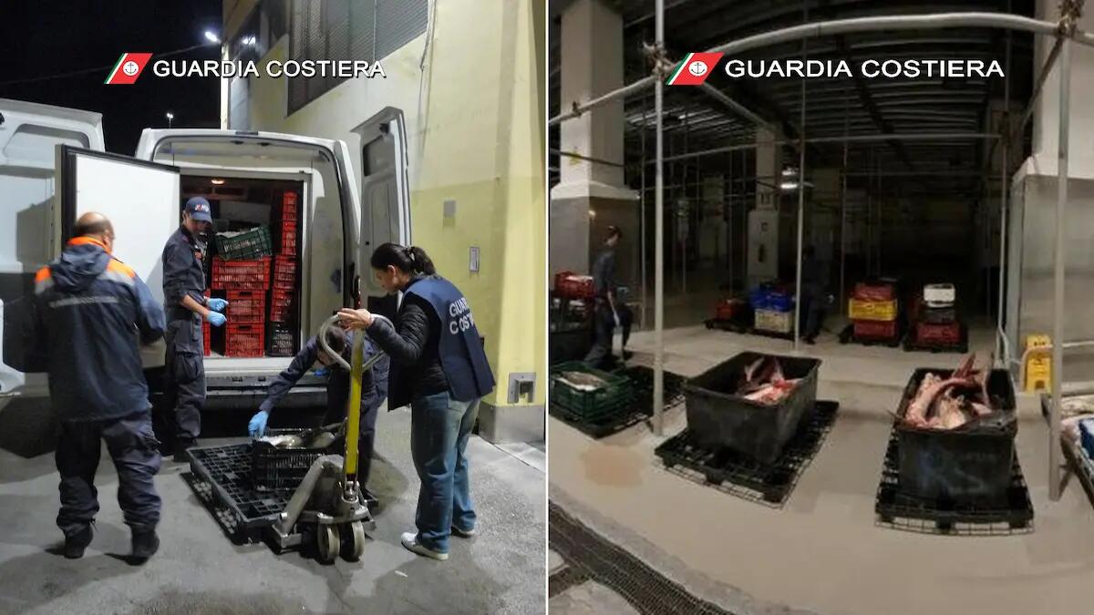 Fermato un furgone con quasi due tonnellate di prodotti ittici non conformi - 