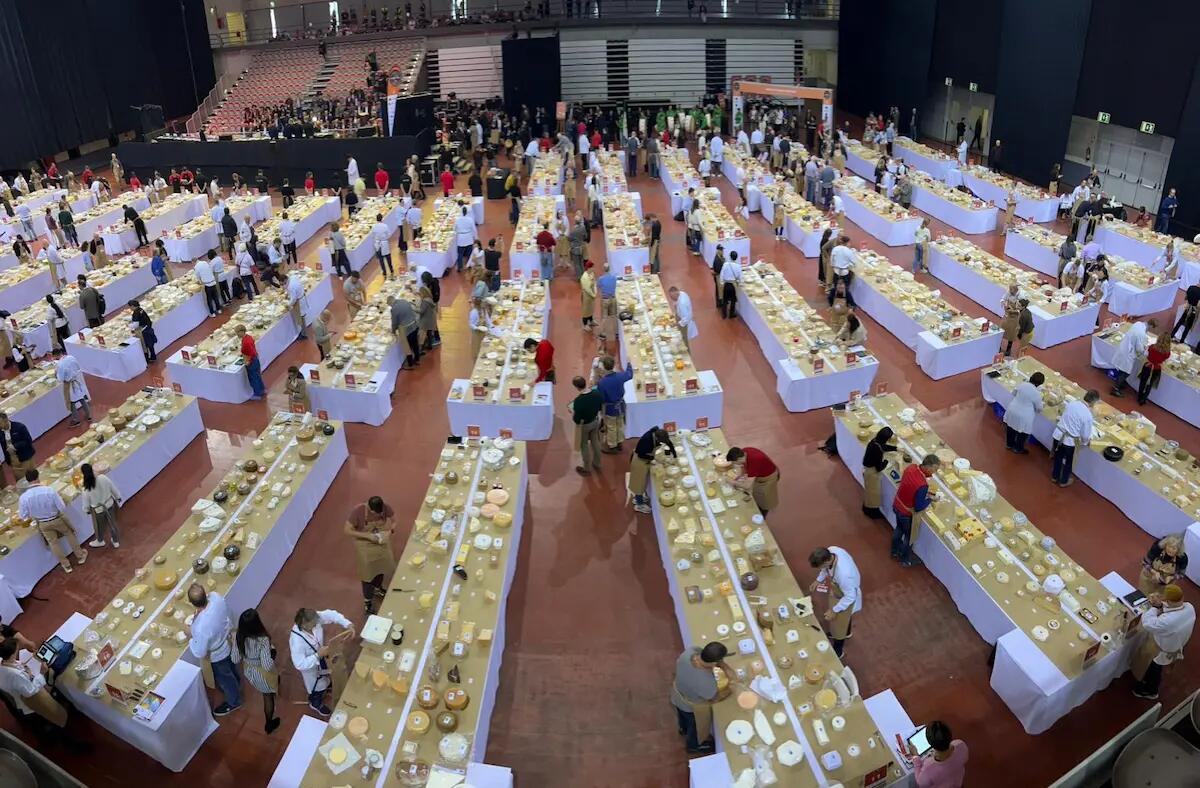 Latterie Vicentine trionfa ai World Cheese Awards 2024 con il Brenta Selezione Oro -