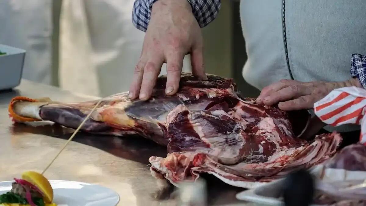 “Selvatici e Buoni”: valorizzare la carne di selvaggina come risorsa sostenibile - 