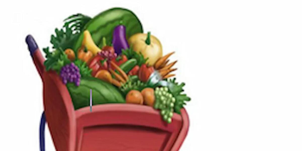 Ripartono i corsi di orticoltura urbana a Trieste: imparare a coltivare il verde in città - 