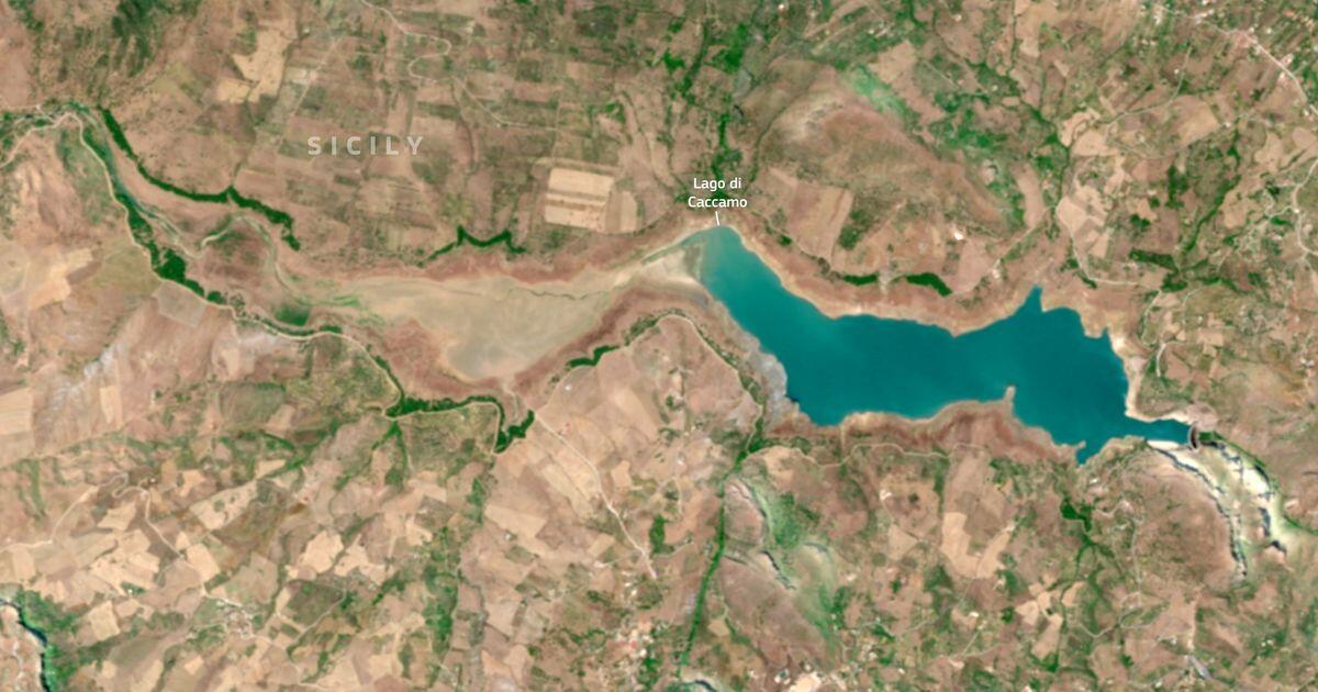 La Sicilia affronta la peggiore siccità degli ultimi 20 anni - 