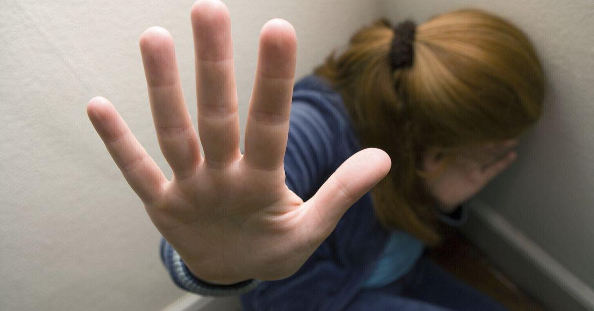 "La violenza giovanile non distingue tra generi", esperti in discussione - 