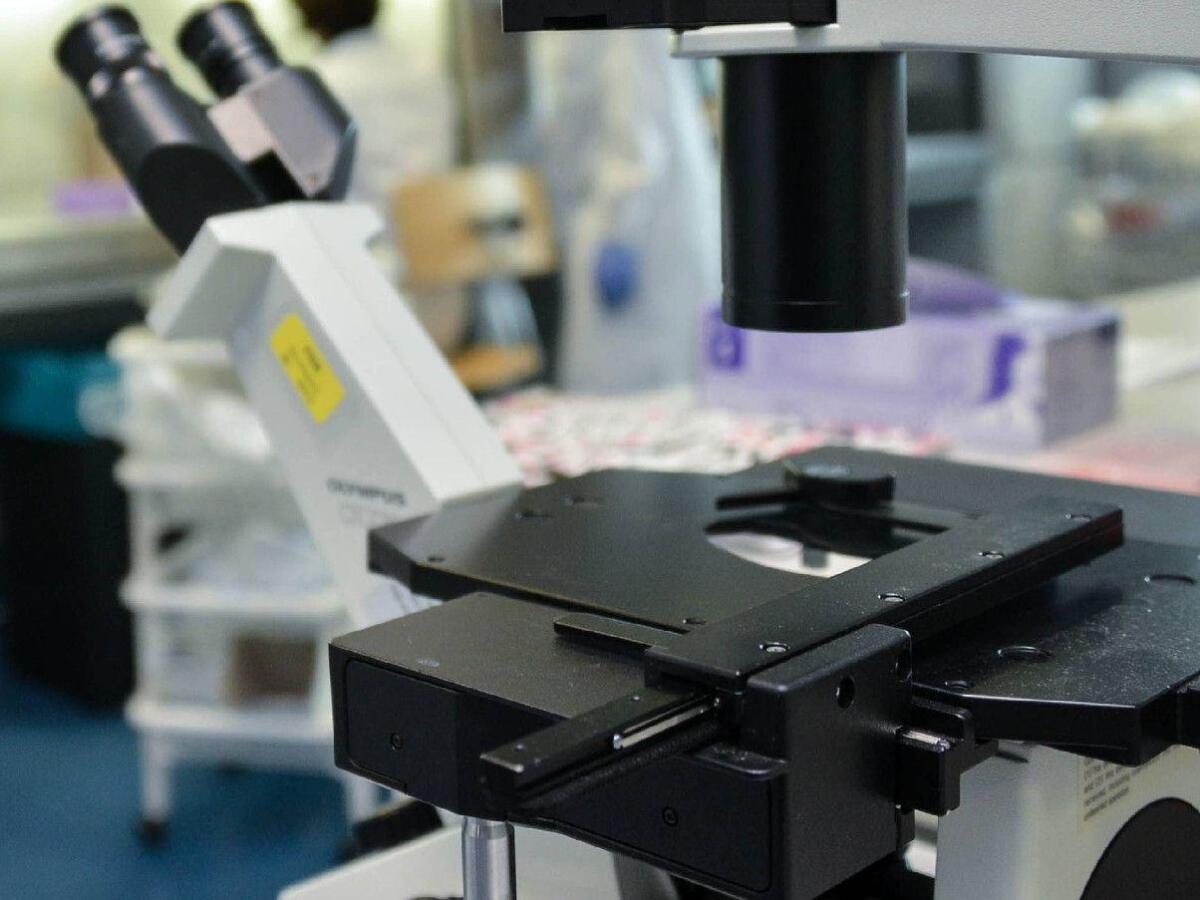 Nuovo bersaglio svelato per combattere il tumore della colecisti: il Cancro - 