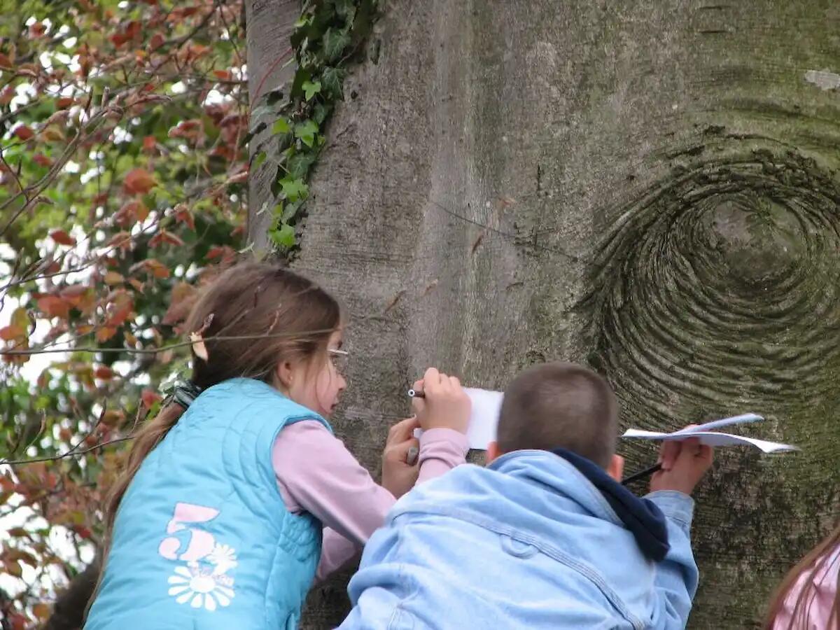 La Giornata Nazionale dell'Albero: una ricorrenza di importanza ambientale e civica -