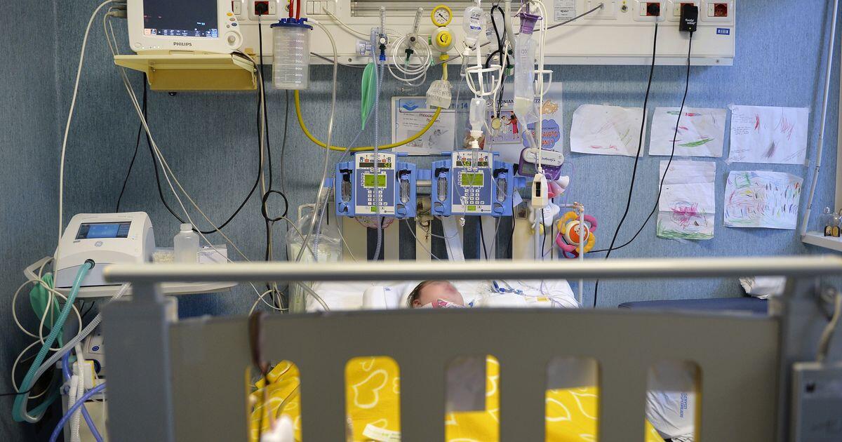 I due ricoveri d'urgenza e il trasferimento a Massa: la tragica morte della bimba di 18 mesi - 