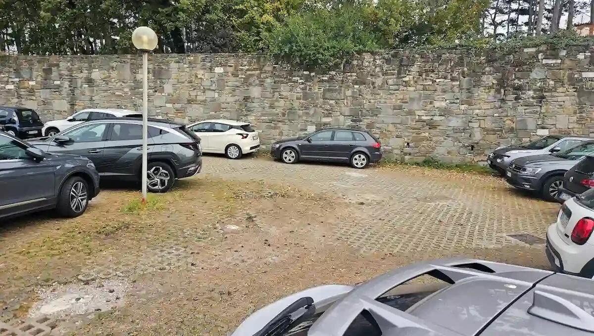 Cattinara: abbattuti pini per fare nuovi parcheggi, ma il traffico rimane un problema - 