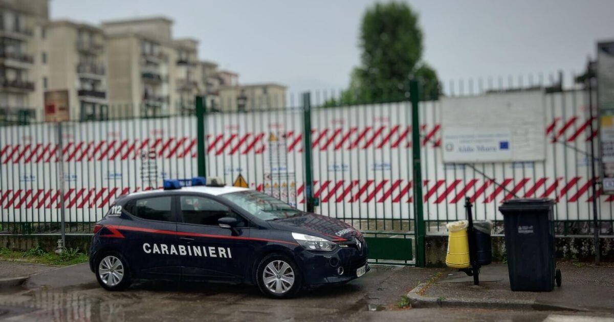 Un imprenditore palermitano minacciato con una testa di cavallo mozzata: la storia di un attacco intimidatorio - 