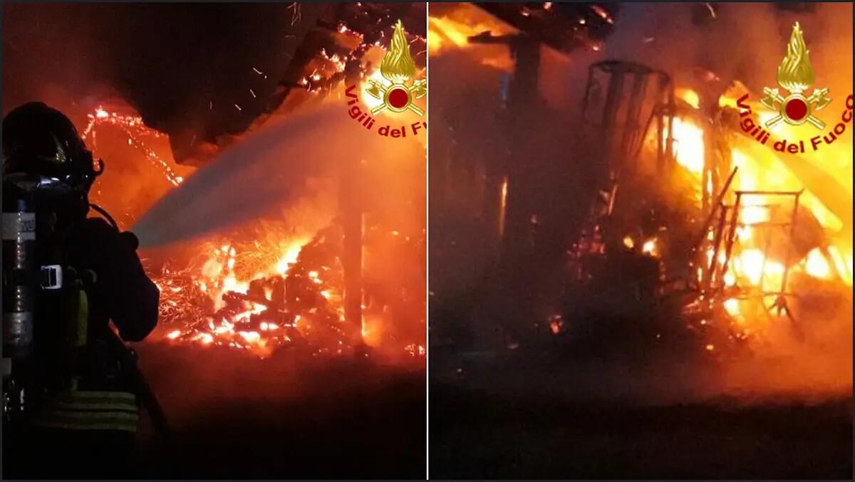 Paura a Mortegliano, la legnaia prende fuoco vicino alla casa: i pompieri evitano il peggio - 